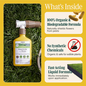 ARBER application on trees and shrubs supports healthy ornamentals