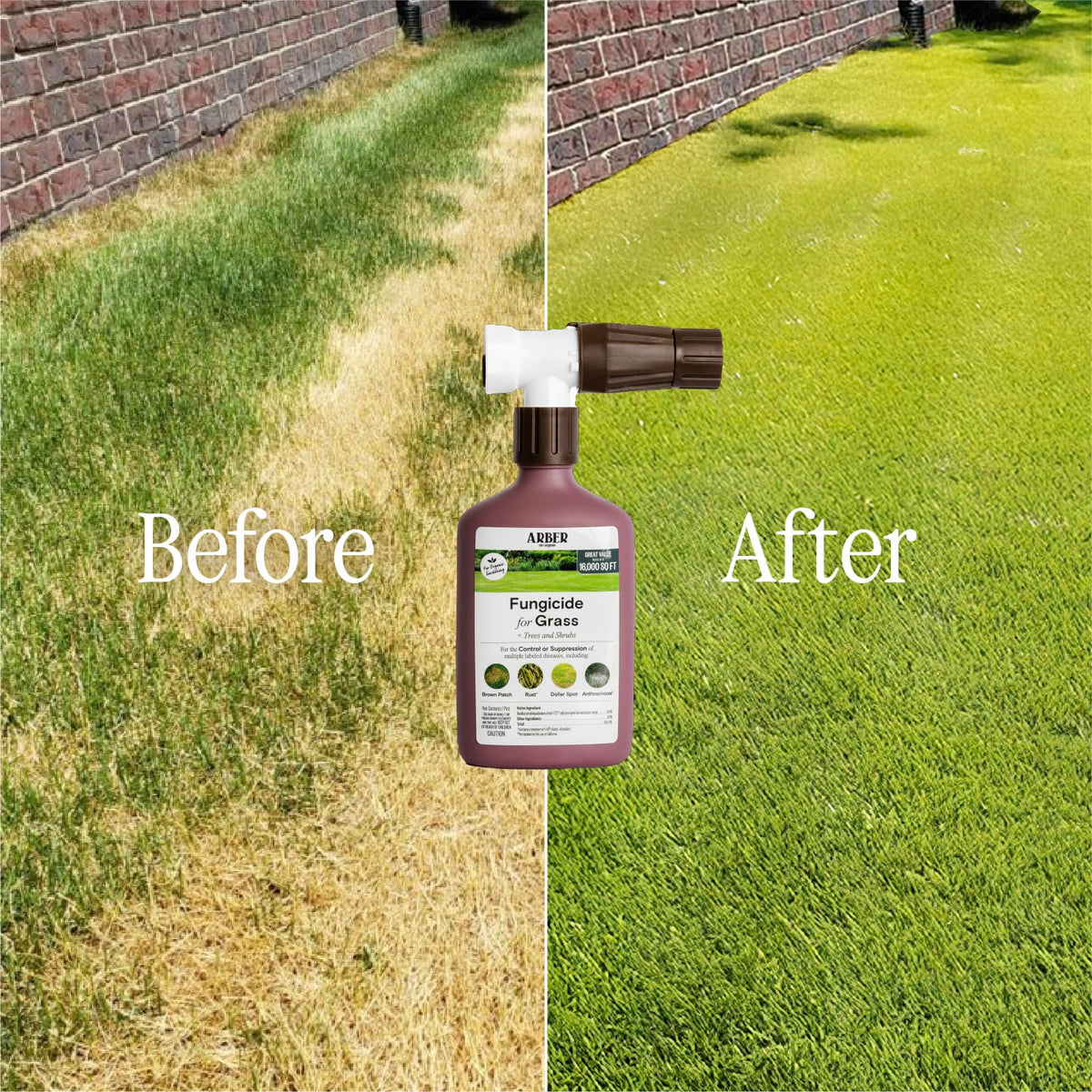 Trees and shrubs protected by ARBER fungicide spray.