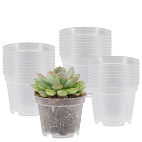 Arcadia clear nursery pot with drainage holes shows root growth and moisture for healthy monitoring.