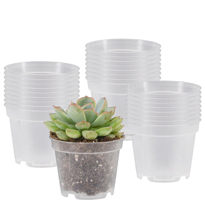 Arcadia clear nursery pot with drainage holes shows root growth and moisture for healthy monitoring.