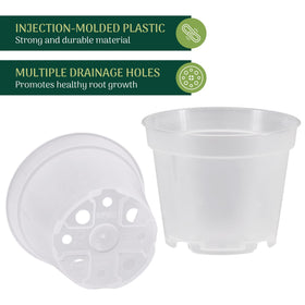 Arcadia clear nursery pot enables root monitoring for precise watering and care.