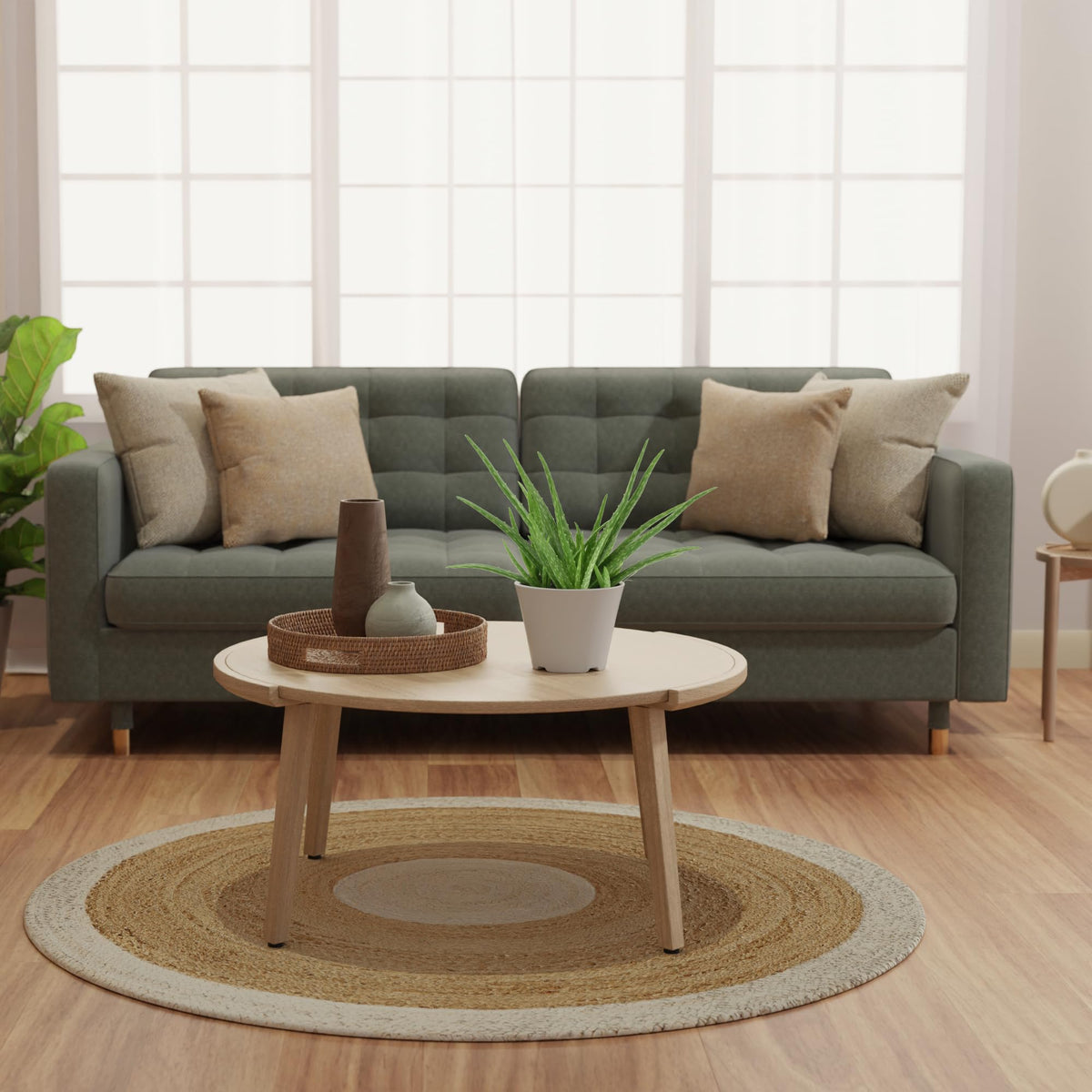 Arcadia Aloe Vera plant in decorative pot enhances home or office decor.