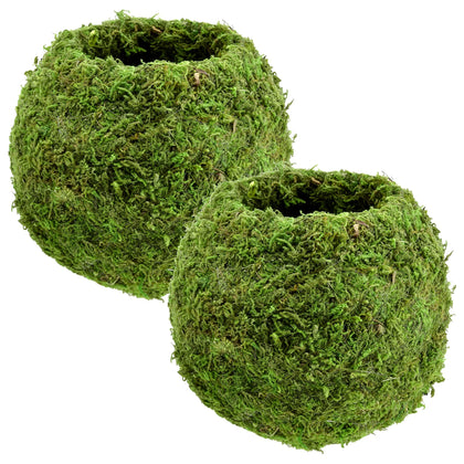 Arcadia Kokedama 6-5 inch globe moss ball set 2 for easy indoor greenery.