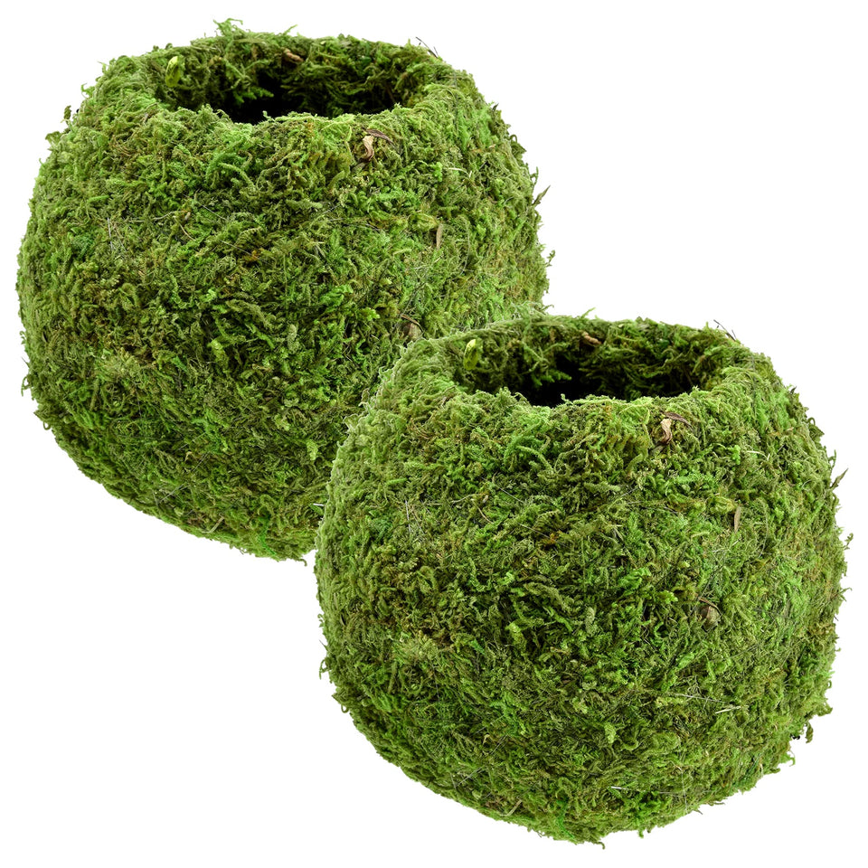 Arcadia Kokedama 6-5 inch globe moss ball set 2 for easy indoor greenery.