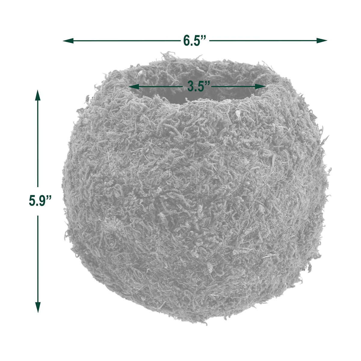 Arcadia Kokedama centerpiece moss ball ideal for tabletops.