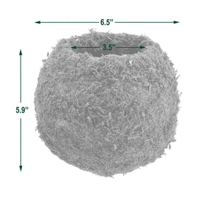 Arcadia Kokedama centerpiece moss ball ideal for tabletops.