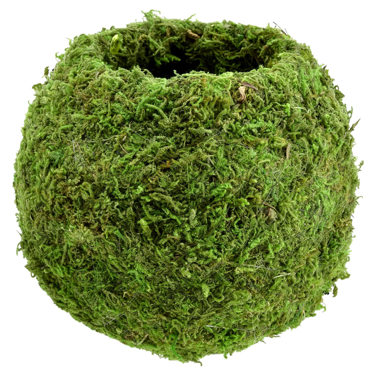 Arcadia Kokedama hanging moss ball showcases space-saving plant display.