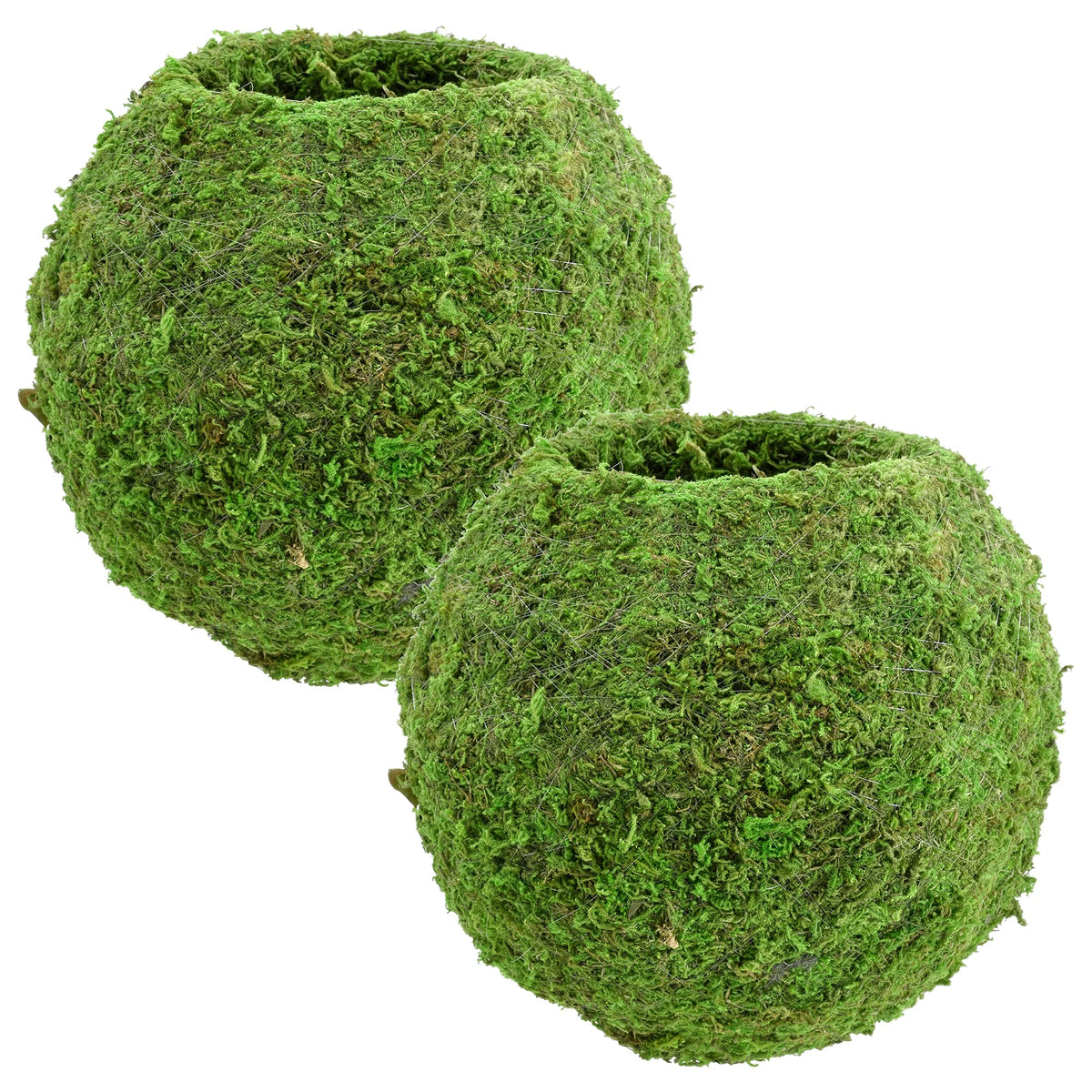 Arcadia Kokedama moss ball planter with durable wire frame for indoor display.