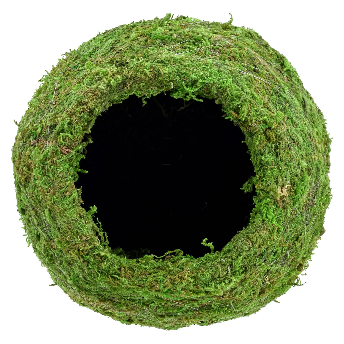 Arcadia Kokedama globe frame with uniform finish for decor.