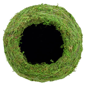 Arcadia Kokedama globe frame with uniform finish for decor.