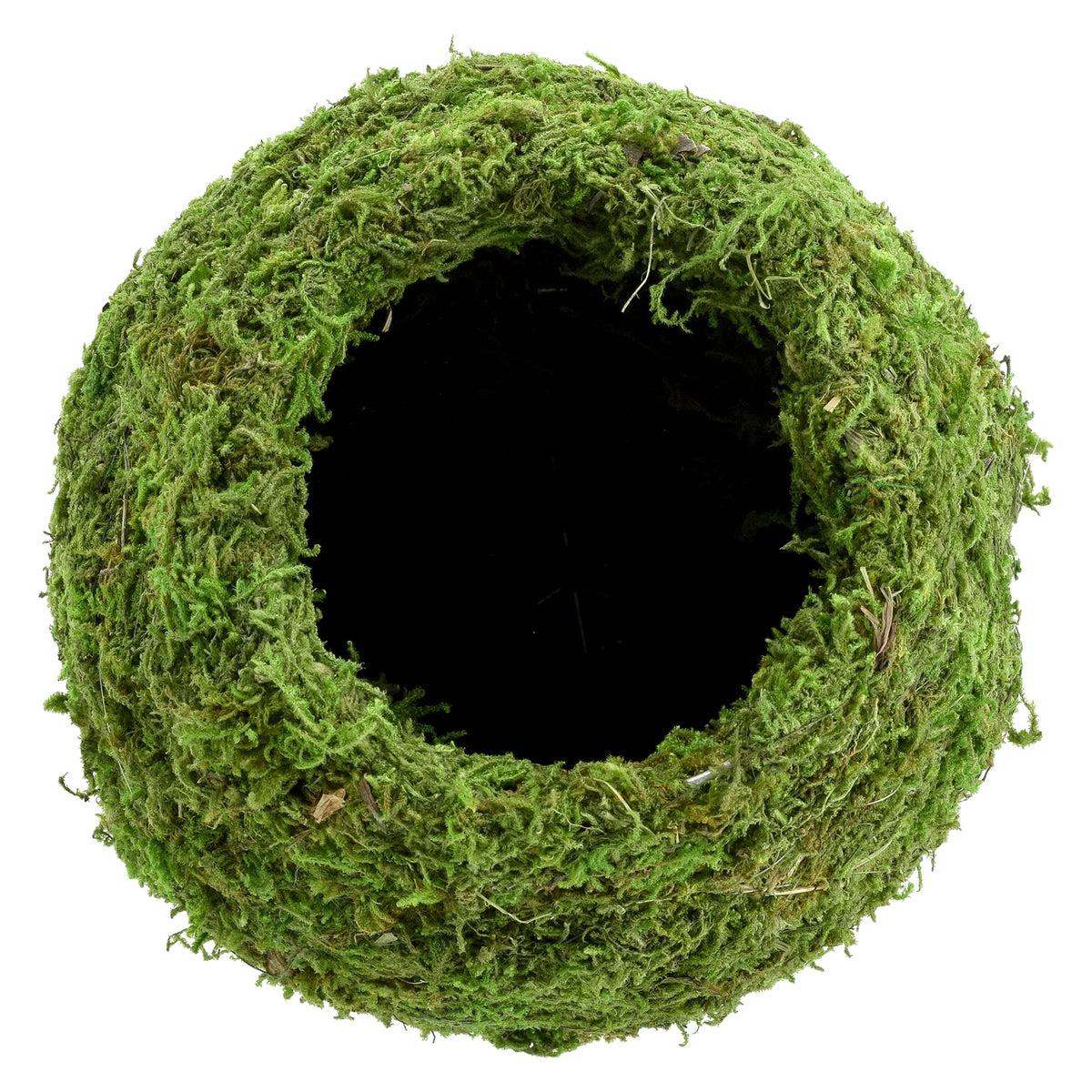 Arcadia Kokedama wire-frame moss ball adds modern garden charm.