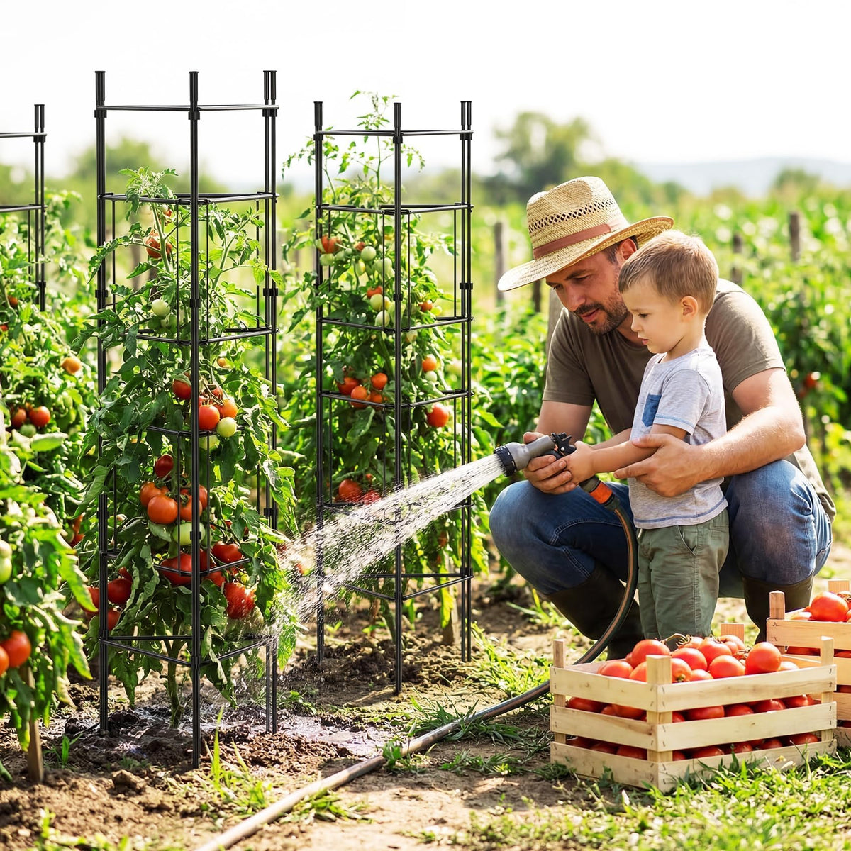 ArdeFentium garden cage in raised bed demonstrates versatility