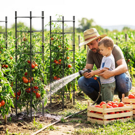 ArdeFentium garden cage in raised bed demonstrates versatility