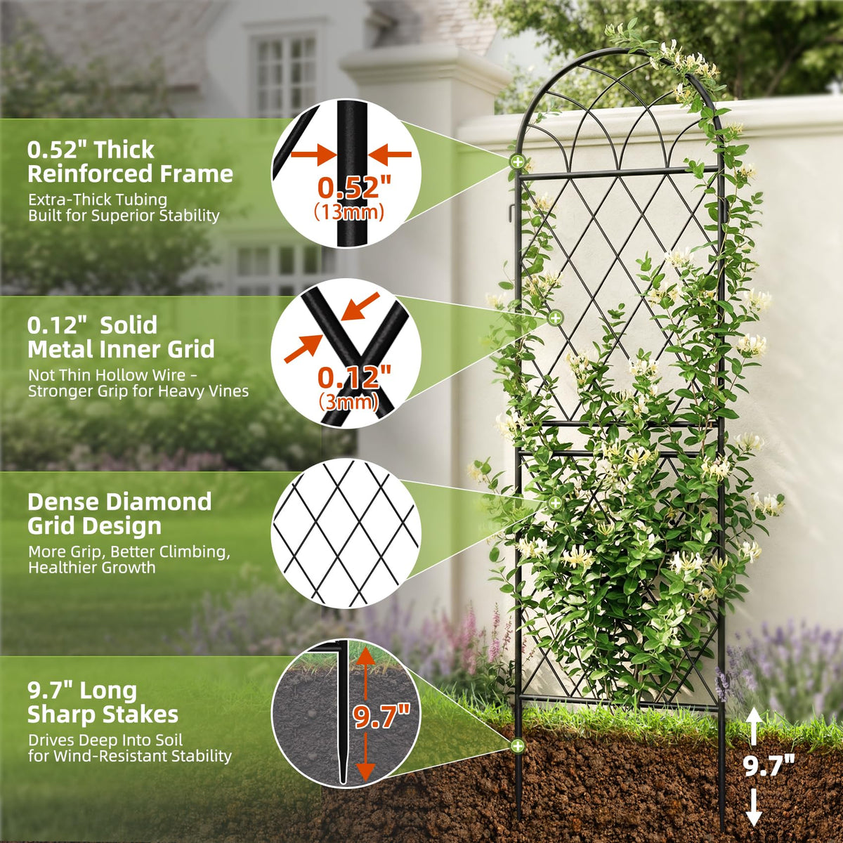 ArdeFentium tall trellis adds height and structure to roses and clematis.