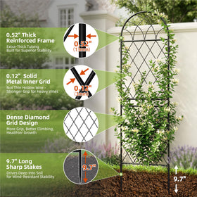 ArdeFentium tall trellis adds height and structure to roses and clematis.