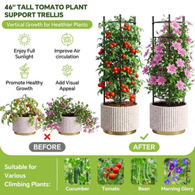 ArdeFentium rust-resistant coating protects vines in outdoor conditions