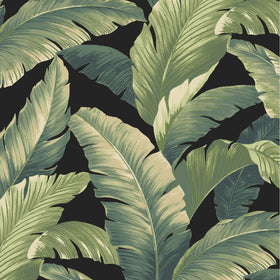 Arden Selections fade protection image emphasizes long lasting color retention in sun