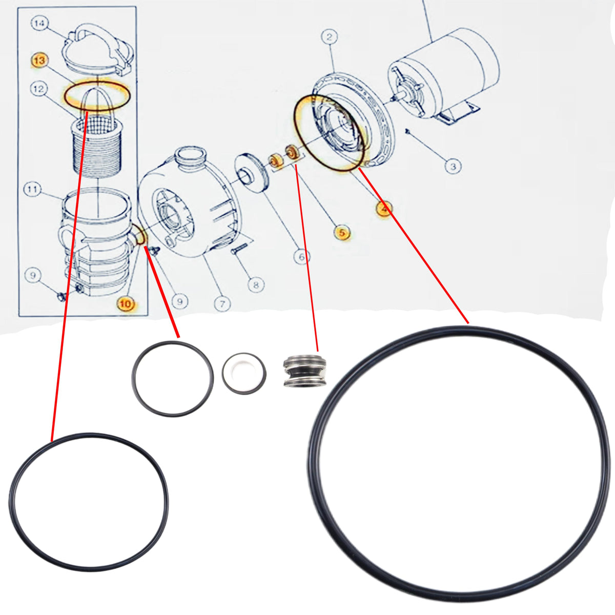 Aretle O-ring 273062 visual aiding correct installation and leak prevention