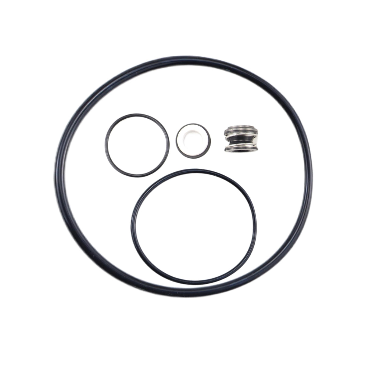 Aretle Pentair Dynamo seal kit close-up for easy pool pump maintenance