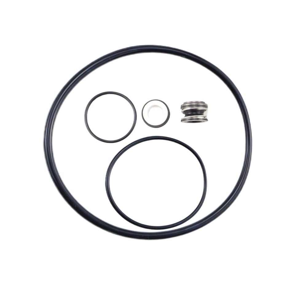 Aretle Pentair Dynamo seal kit close-up for easy pool pump maintenance