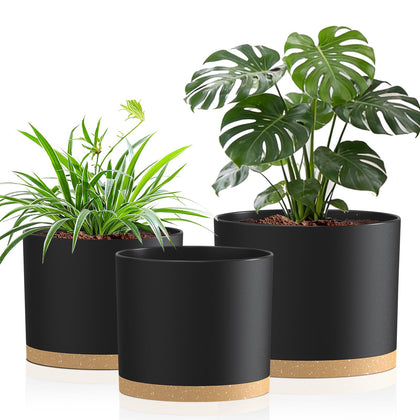 Areutxbis 10-inch pot trio for a cohesive indoor plant display.
