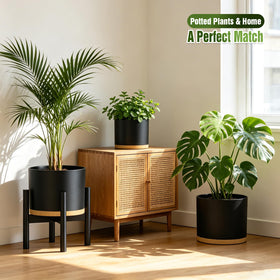 Areutxbis 9-inch pot trio complements mid-size greenery with modern rhythm.