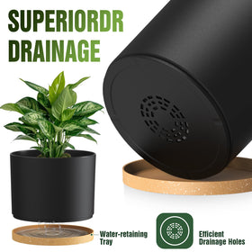 Areutxbis drainage holes base promotes aeration and reduces overwatering risk.