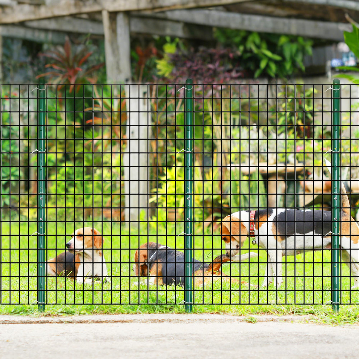 ARIFARO 24/7 support for fence post questions and planning