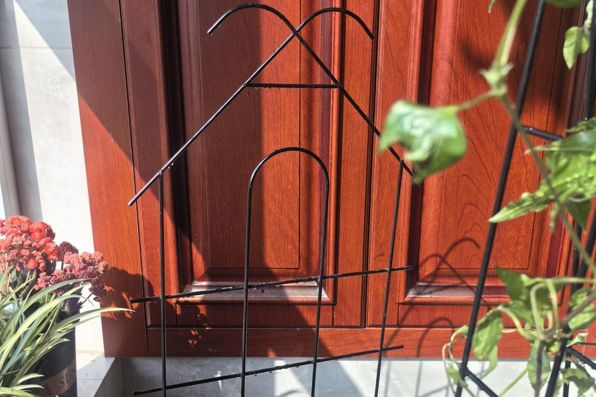 ARIFARO vertical growth support keeps vines upright and organized