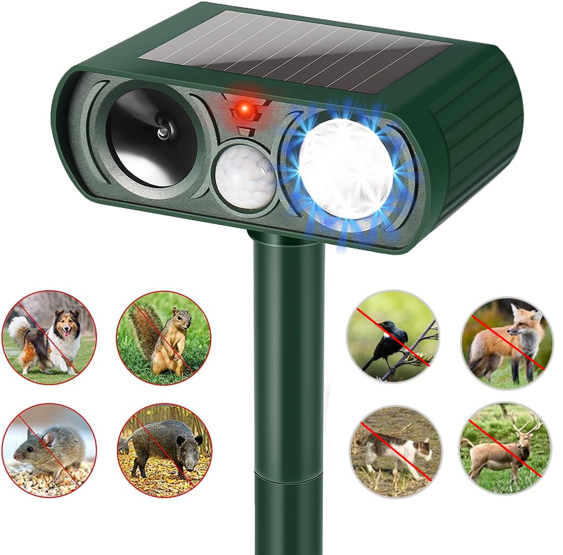Ariie flashing light deters wildlife while reinforcing ultrasonic signals.