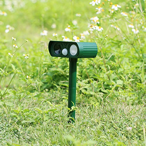 Ariie ground spike installation lets you place it securely in soil.