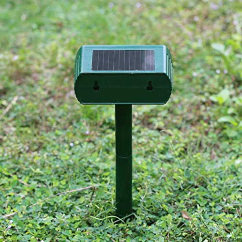 Ariie back slot wall mounting offers flexible placement options.