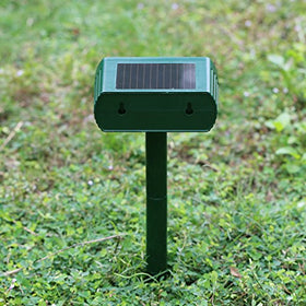 Ariie back slot wall mounting offers flexible placement options.