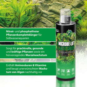 ARKA MICROBE-LIFT color enhancement helps aquarium plants look richer.