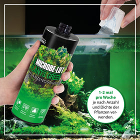 ARKA MICROBE-LIFT promotes healthy roots in aquatic plants.