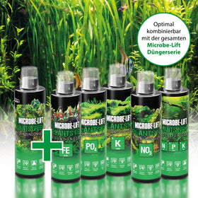 ARKA MICROBE-LIFT All In One enhances ornamental tanks with lush greens.