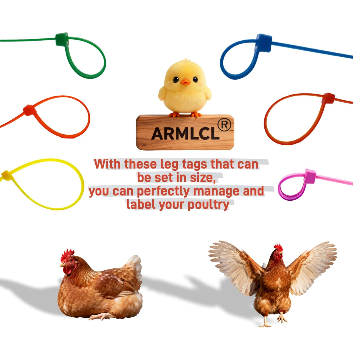 ARMLCL Vibrant 480Pcs blue leg bands for easy flock tracking