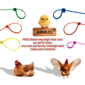 ARMLCL Vibrant 480Pcs blue leg bands for easy flock tracking