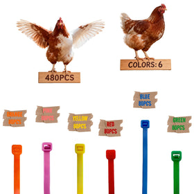 ARMLCL Vibrant 480Pcs red leg bands for quick poultry identification