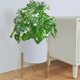 ARNIS set of 2 planters in packaging, ready for easy placement.