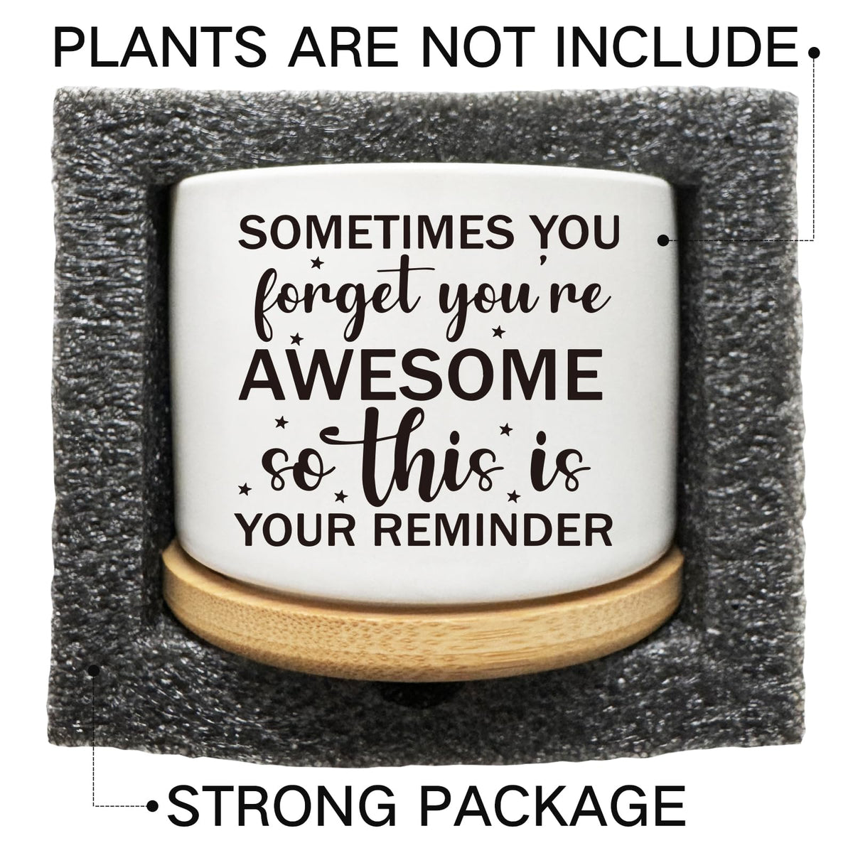 Arosedmo drainage planter supports easy watering and soil care.