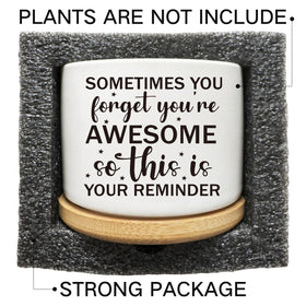 Arosedmo drainage planter supports easy watering and soil care.