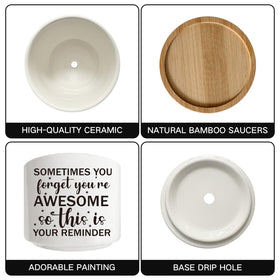 Arosedmo ceramic pot with bamboo tray, perfect for windowsill arrangements.