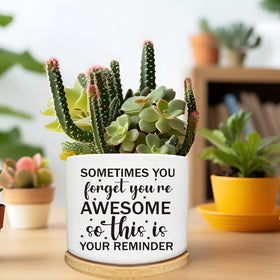 Arosedmo ceramic planter for tiny herbs or succulents, ideal gift.