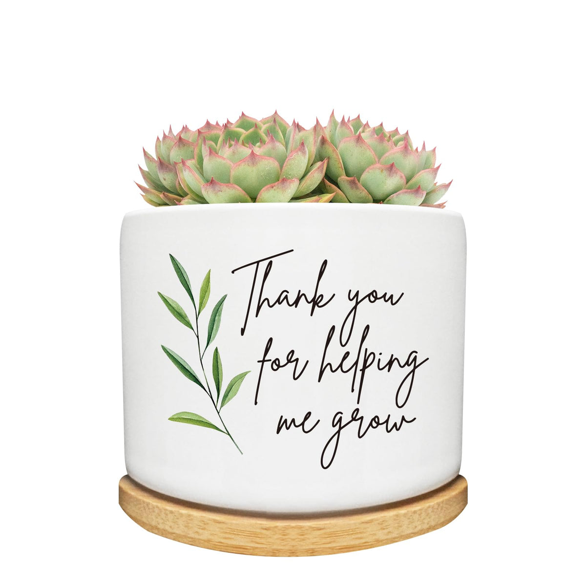 Arosedmo succulent planter on a desk with bamboo tray for greenery and organization