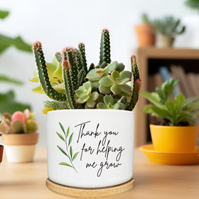 Arosedmo planter with herbs on a kitchen windowsill for compact decor