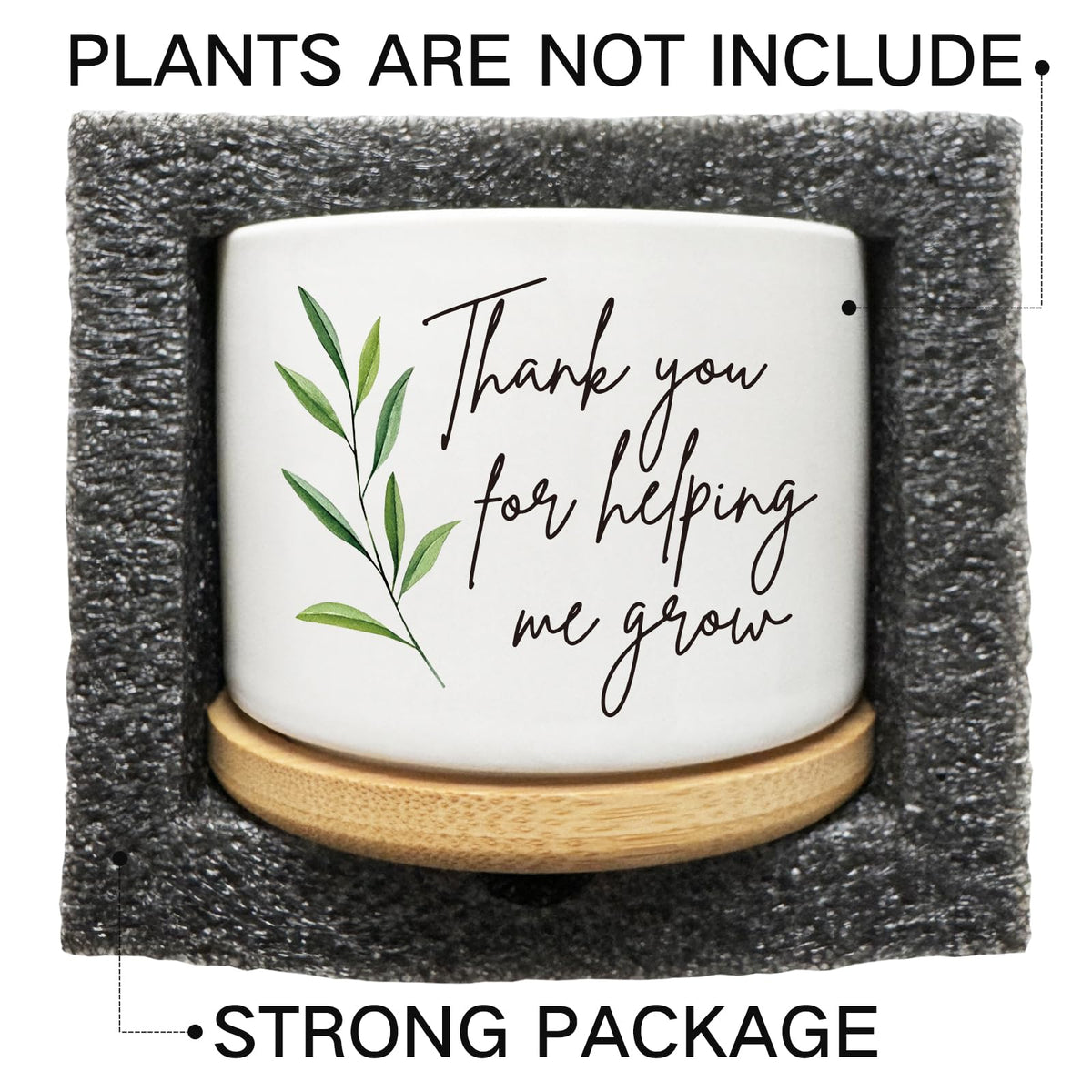 Arosedmo packaging-ready planter highlighting thoughtful design