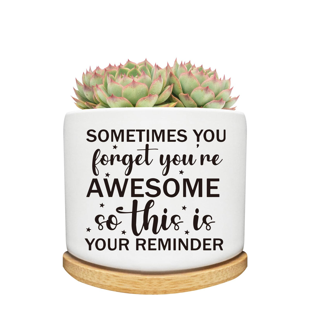 Arosedmo succulent planter ceramic pot with drainage, ideal for desk decor.