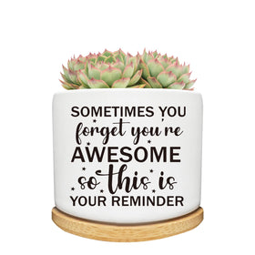 Arosedmo succulent planter ceramic pot with drainage, ideal for desk decor.