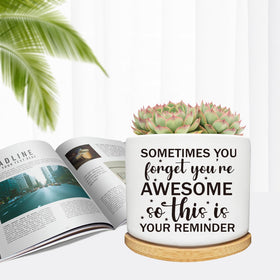Arosedmo succulent planter on a desk adds greenery and calm.